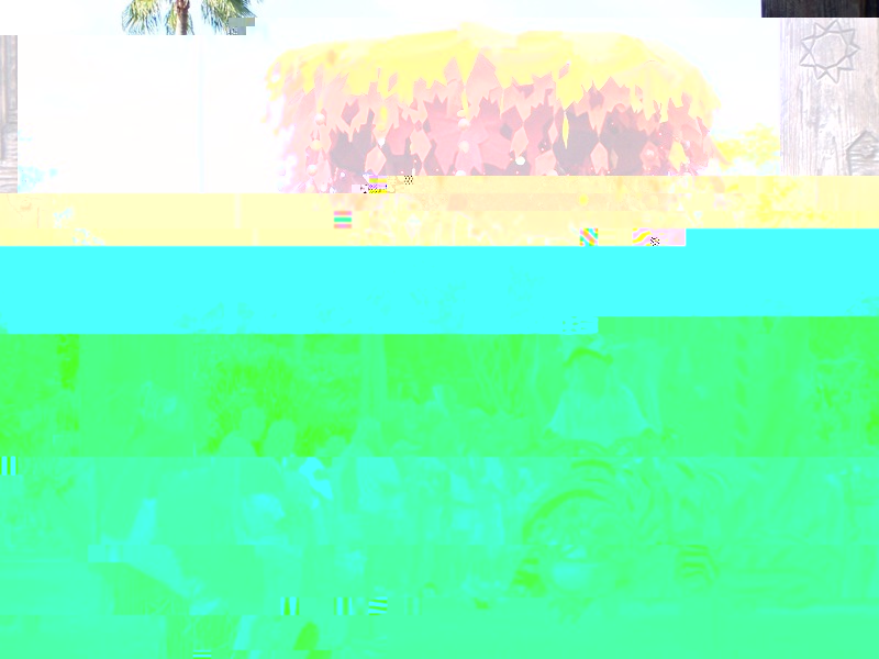 100_2891.JPG