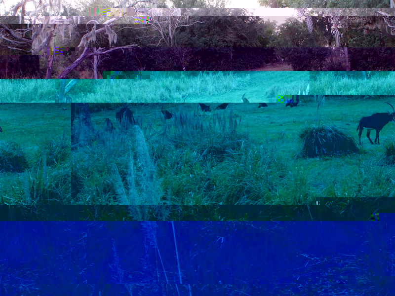 100_3087.JPG