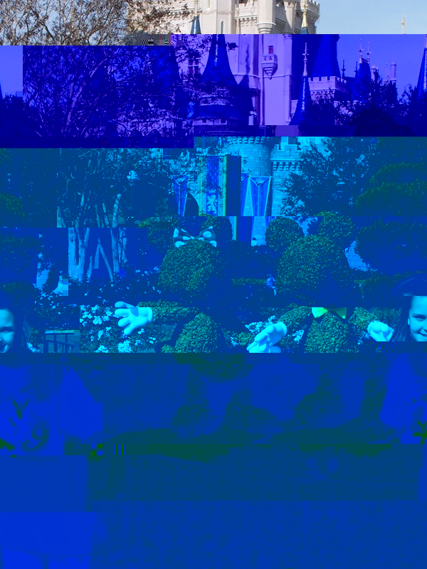 100_3114.JPG