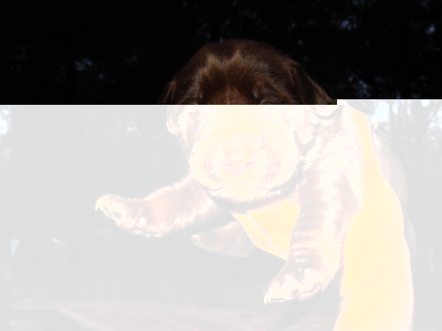 Click to Close