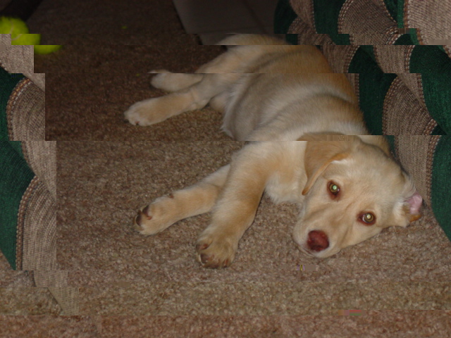DSC02101.JPG