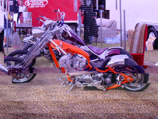 DSC00503.JPG